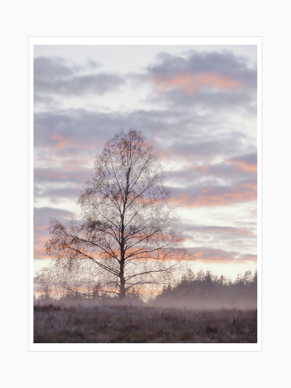 Max Schiefele Alle Bilder  DSF3500